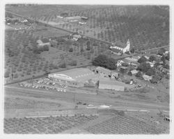 Aerial view of California Poultry, Incorporated, Fulton, California, 1958