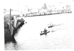 Kayak racers on the Petaluma River, Petaluma, California, about 1964