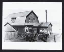 Loading milk aboard a wagon at Bodega Bay Creamery