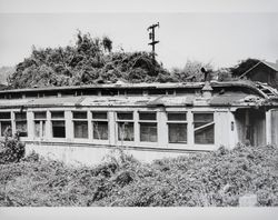 Derelict railroad passenger car abandoned at Duncan Mills, California, 1970s