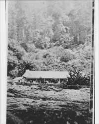 House that James Dawson sawed in half near Freestone, California, about 1920