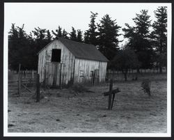 Unidentified barn in Sonoma County