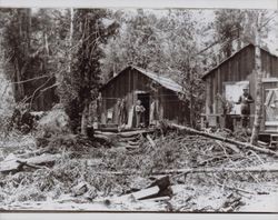 Clara Titus at the Fuller's Mill cabin, Markhams, California