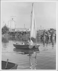 Old Adobe Fiesta sailboat racing, Petaluma, California, 1965-1969