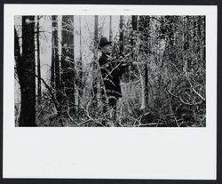 Luther Burbank examining a thistle in the woods