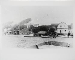 Boats along the shore of Bodega Bay