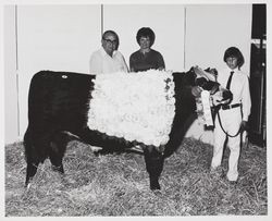 August Sebastiani with award winning steer at the Sonoma County Fair, Santa Rosa, California