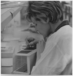 Laboratory technician working on a silicon wafer with tweezers, likely at Optical Coating Laboratory, Inc. (OCLI), 1960s