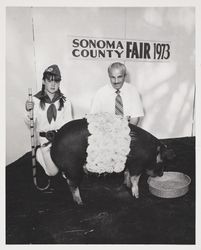 Champion hog at the Sonoma County Fair, Santa Rosa, California