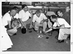 Typographical Union members posing for a "gag shot", Petaluma, California, 1955