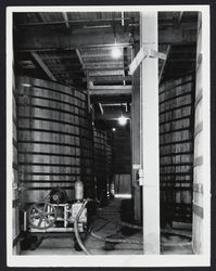 Large wine vats at the Italian Swiss Colony