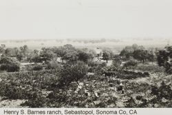 Henry S. Barnes Ranch, Sebastopol, Sonoma County, California, between 1891 and 1892