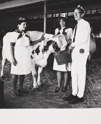 4-H Club members with a Holstein dairy cow