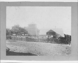 Small Petaluma, California dairy, about 1900