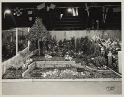 California Nursery display at the Hall of Flowers at the Sonoma County Fair, Santa Rosa, California, 1945