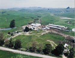 Aerial view of Gamlake Dairy, Petaluma, California, 1986