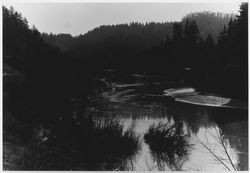 View of Austin Creek below Cazadero, California, about 1969