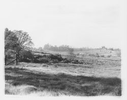 Field on Community Health Association property at 2759 Bennett Valley Road, Santa Rosa, California, 1963