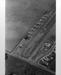 Aerial view of Petaluma Sky Ranch and surrounding area, Petaluma, California, 1973