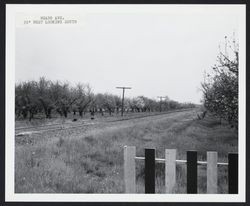 Looking south along railroad tracks from west side of Hearn Ave