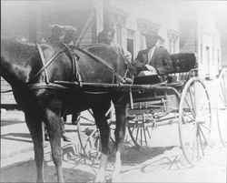 Strout brothers with horse and buggy