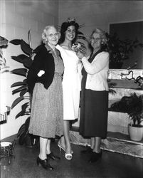 Miss Sonoma County 1961, Charlotte Townsend at the Grohe Florist and Greenhouse, Santa Rosa, California