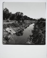 Brush Creek south of Highway 12, Santa Rosa, California, 1975