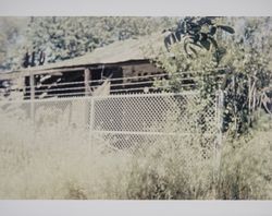 View of the Carrillo Adobe located in Santa Rosa, California