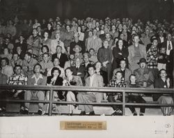 Spectators at Petaluma Leghorn game against Horsetrader Ed