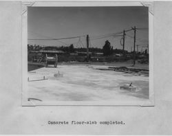 Recently complete concrete slab floor at the Poultry Producers of Central California mill in Petaluma, California, 1938