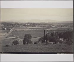 City of Sonoma view, California, about 1905