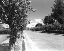 Street scene, Healdsburg, California, 1963