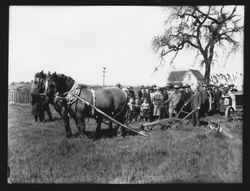 Ground-breaking procession at the commencement of work on the Burbank Memorial Park at Santa Rosa Junior College