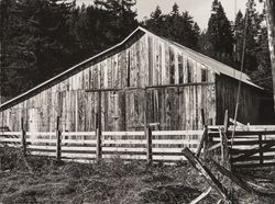 Unidentified Sonoma County barn, 1980s