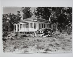 Bihler Ranch, Petaluma, California, 1995