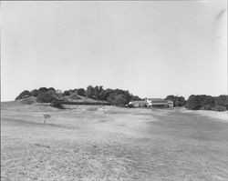 Clubhouse swimming pool, first tee and ninth green of the Petaluma Golf Club, Petaluma, California, 1955