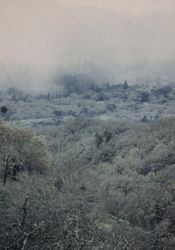 View toward Jack London State Historical Park