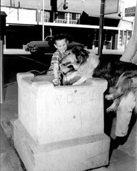 W. C. T. U. drinking fountain at Main and Western Avenues