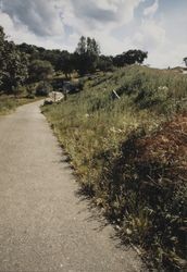 Trail in Spring Lake Park