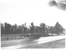 Bodega Avenue at Spring Hill Road, Petaluma, California, about 1955