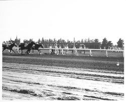 Horse race at the Fairgrounds