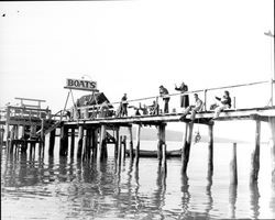 Fishing from a pier in Petaluma River