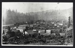 Looking southwest from atop the hill near the French House in Guerneville