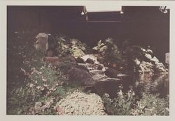 Small waterfall at the Hall of Flowers at the Sonoma County Fair, Santa Rosa, California, 1969