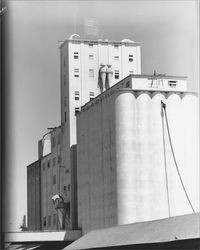 View of the Poultry Producers feed mill, Petaluma, California, about 1955