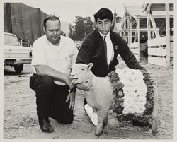 FFA Exhibitor with Champion sheep at the Sonoma County Fair, Santa Rosa, California, about 1958