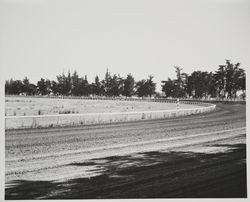 Race track at the Sonoma County fairgrounds, 1955