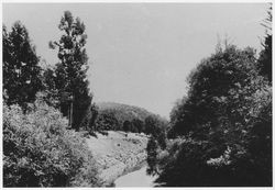 Sonoma Creek near Glen Ellen