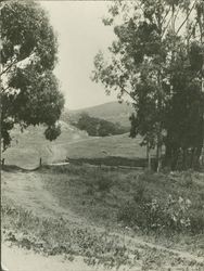 Unpaved road near Petaluma, California, about 1900