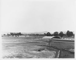 Hanger at the Sonoma County Airport, 1973